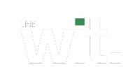The Wit - Smarter Marketing